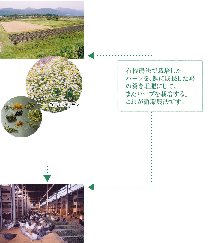 草原と男性